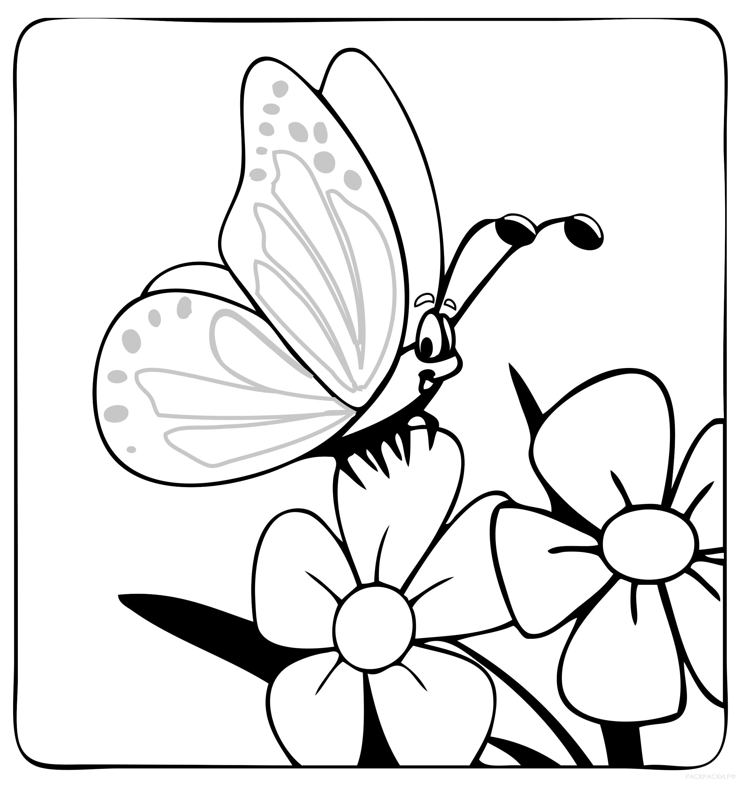 раскраски для девочек цветы и бабочки простые 3