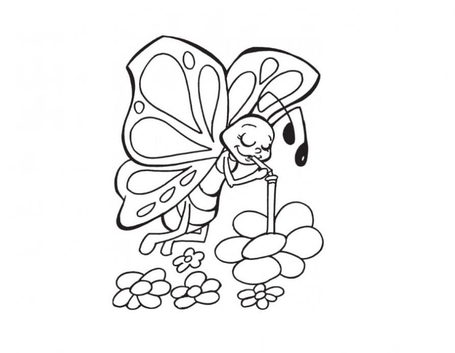 раскраски для девочек цветы и бабочки простые 9