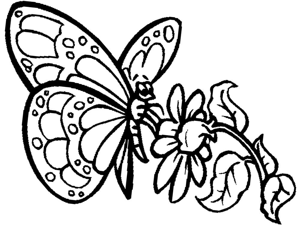 легкие раскраски для девочек цветы и бабочки 6
