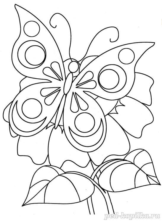легкие раскраски для девочек цветы и бабочки 4