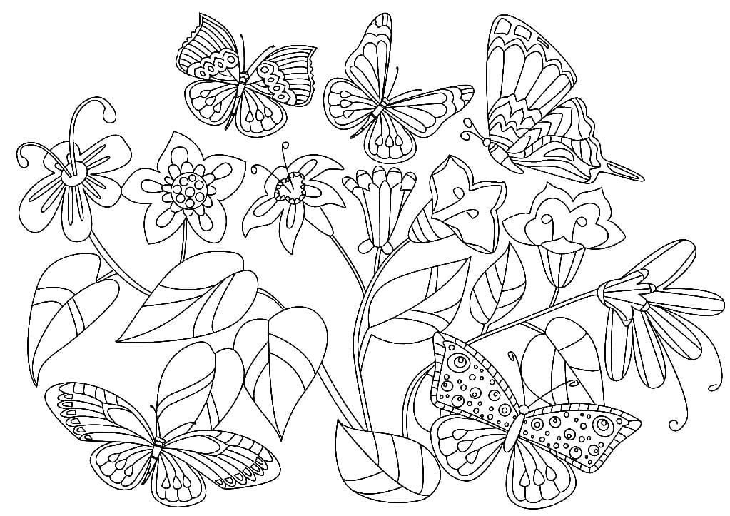 раскраски цветы и бабочки для девочек 8