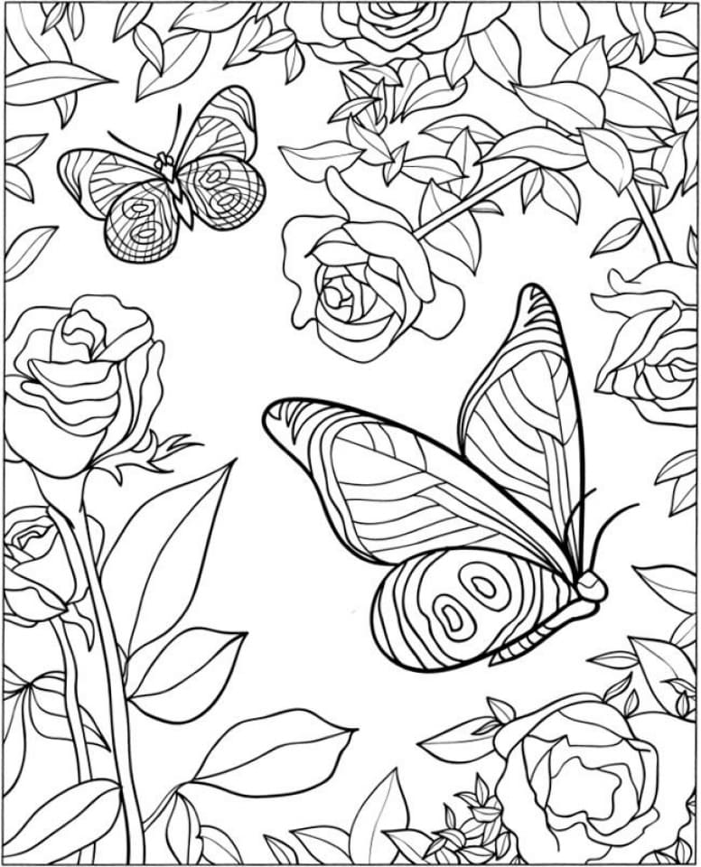 легкие раскраски для девочек цветы и бабочки 9