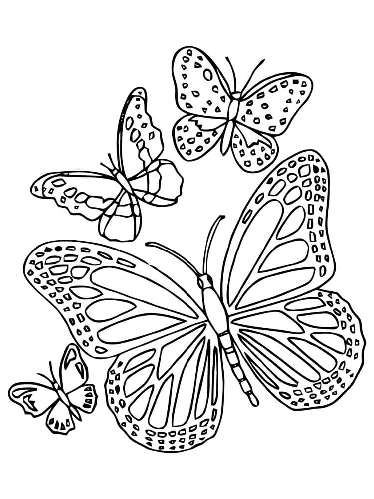 раскраски цветы и бабочки для девочек распечатать
