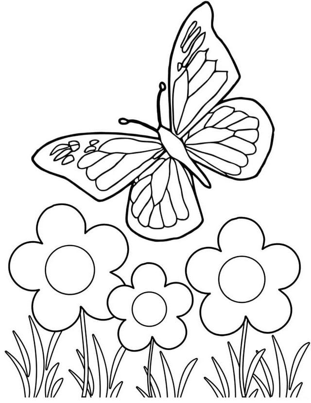 раскраски цветы и бабочки для девочек 7