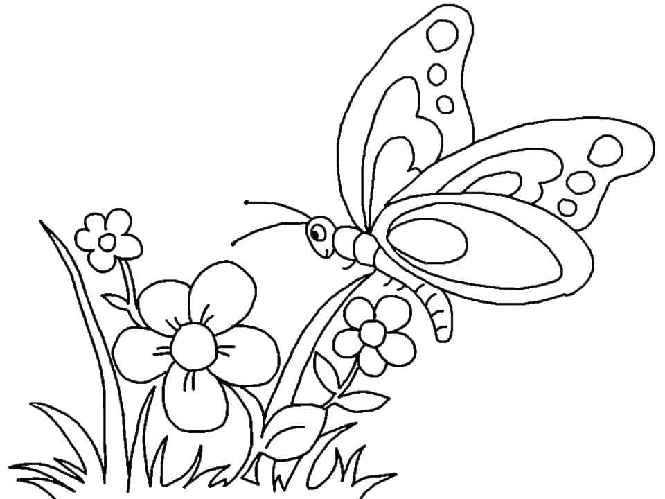 раскраски цветы и бабочки для девочек 4