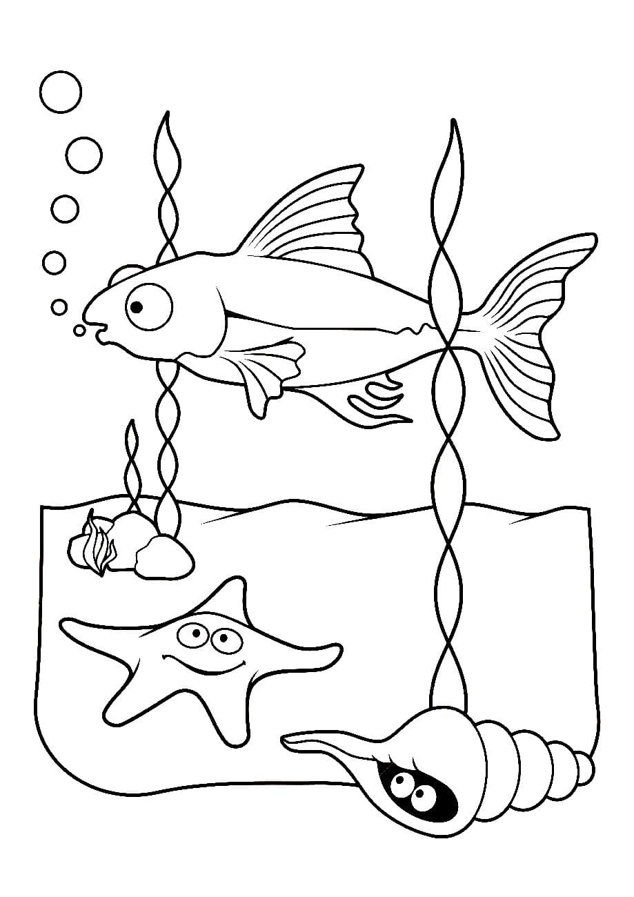 раскраски морские обитатели морей и океанов для детей сложные 7