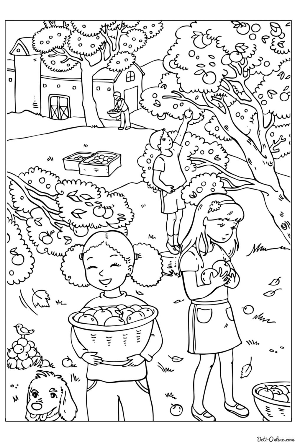 осенняя раскраска для детей в саду 3