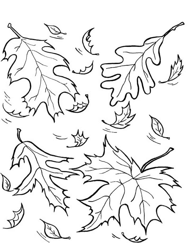 Осенние листья картинки раскраски