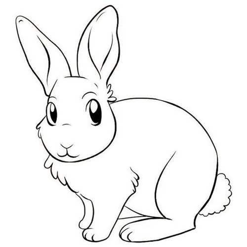 лёгкие рисунки кроликов для срисовки для детей карандашом поэтапно 4