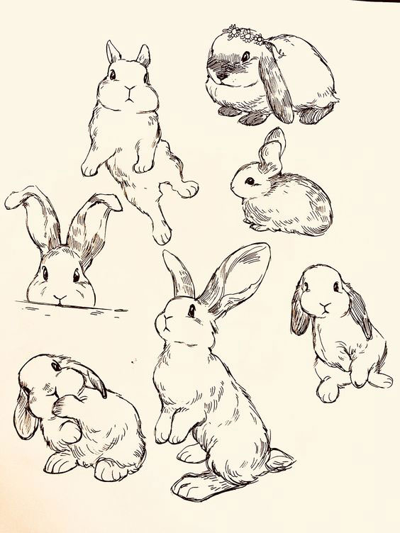 лёгкие рисунки кроликов для срисовки для детей карандашом 4