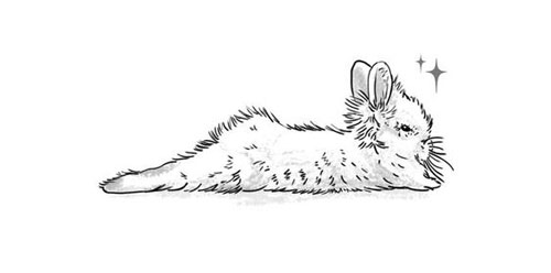 лёгкие рисунки кроликов для срисовки для детей 2