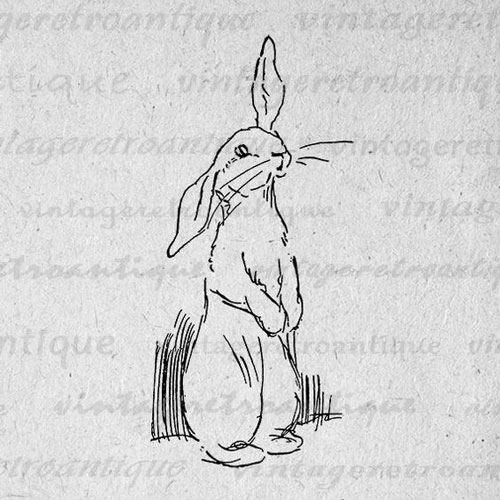 лёгкие рисунки кроликов для срисовки для детей