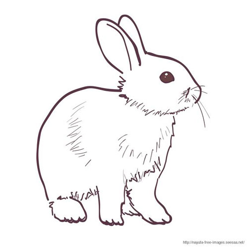 рисунки кроликов для срисовки для детей 7