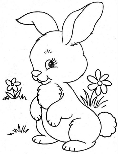 рисунки кроликов для срисовки для детей 6