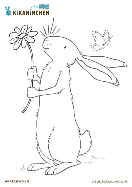 легкие рисунки кроликов карандашом для срисовки 10
