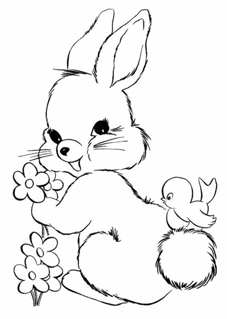 легкие рисунки кроликов карандашом для срисовки 2
