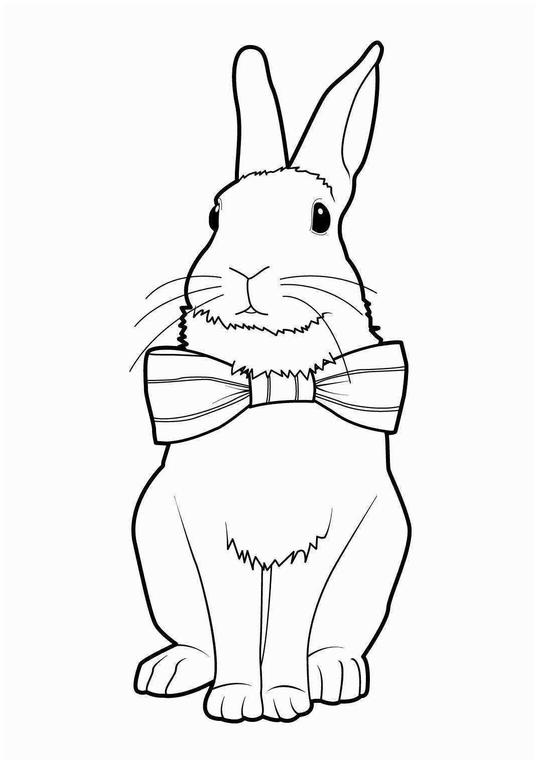 Кролик рисунок для раскрашивания