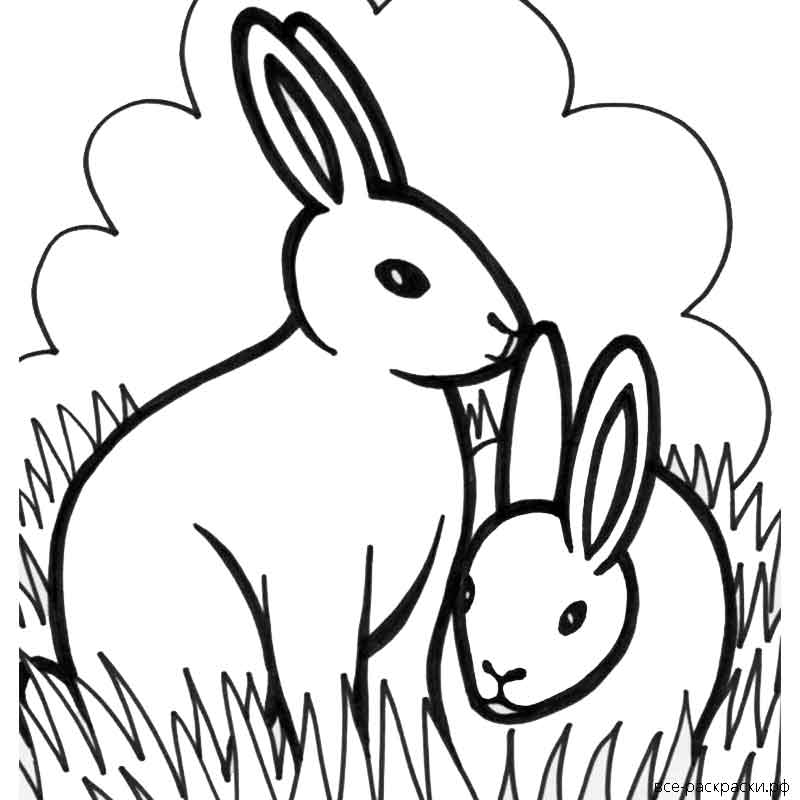 новогодний кролик раскраска для детей шаблоны 10