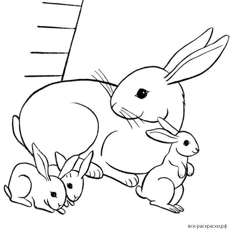 новогодний кролик раскраска для детей распечатать