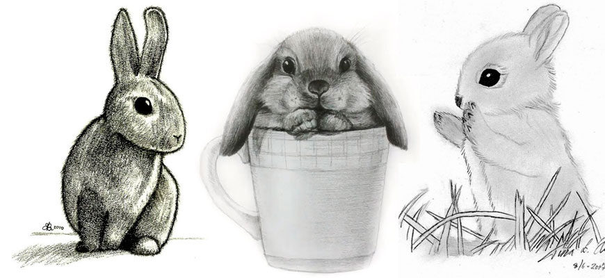 детские рисунки кроликов для срисовки карандашом