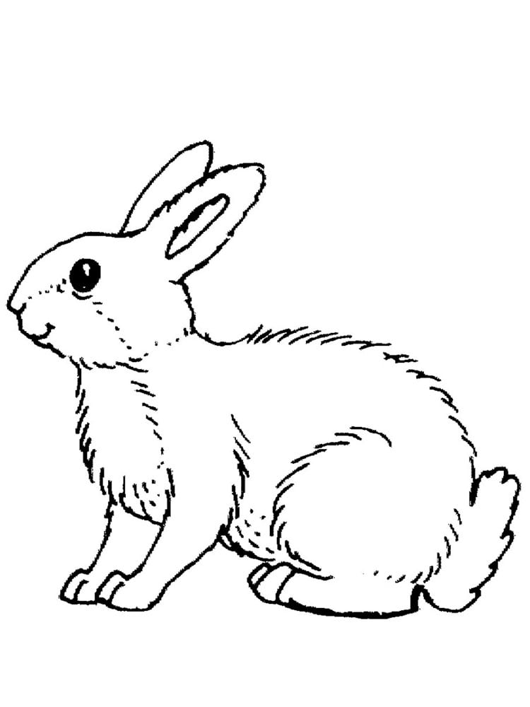 новогодний кролик раскраска для детей распечатать 8