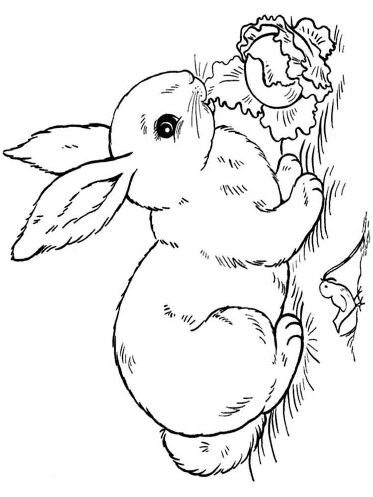 кролик на Новый год 2023 раскраска для детей в саду 10