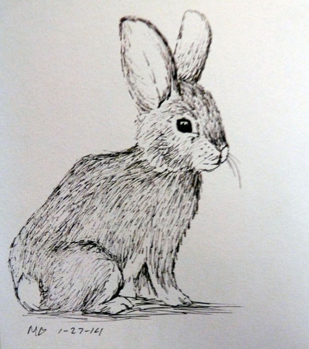 легкие рисунки для срисовки кролики 2