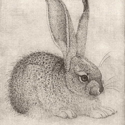 легкие рисунки для срисовки кролики 3