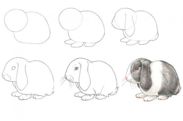 легкие рисунки для срисовки кролики 4