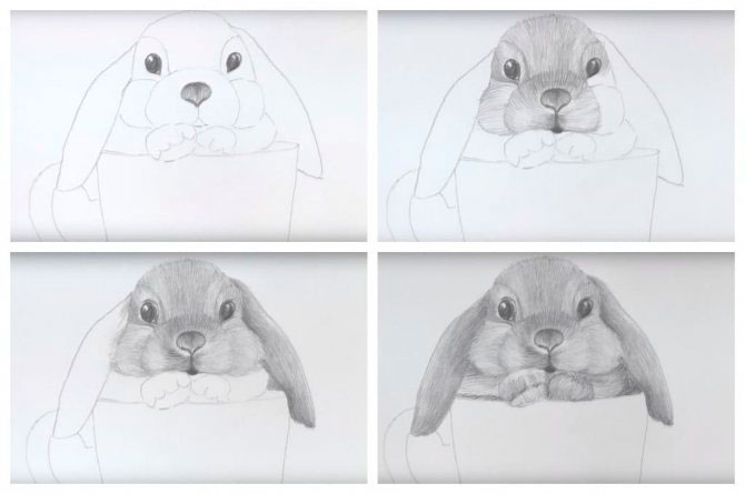 легкие рисунки для срисовки кролики 6