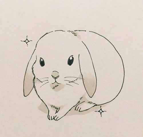 Рисунки кроликов для срисовки 2