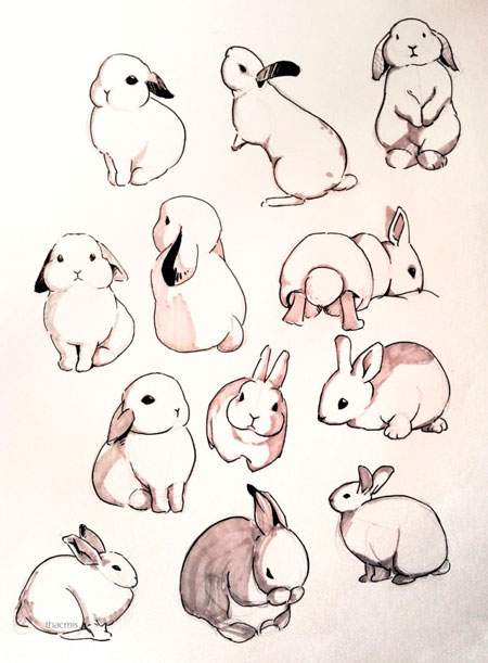 красивые рисунки для срисовки кролики
