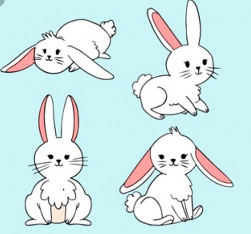 красивые рисунки для срисовки кролики 2