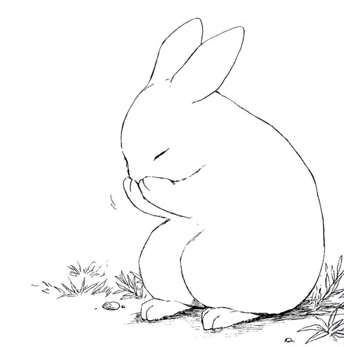 Рисунки кроликов для срисовки 5