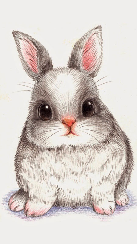 Рисунки кроликов для срисовки 7