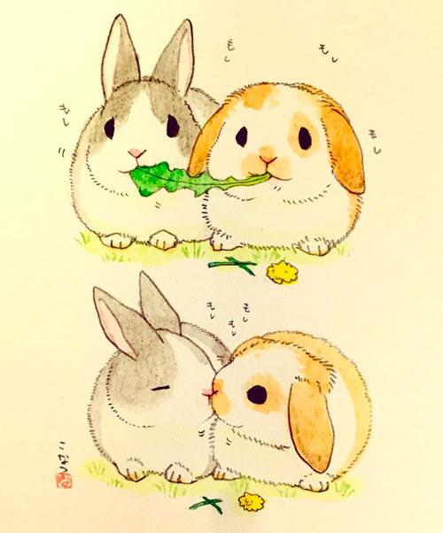 Рисунки кроликов для срисовки 9