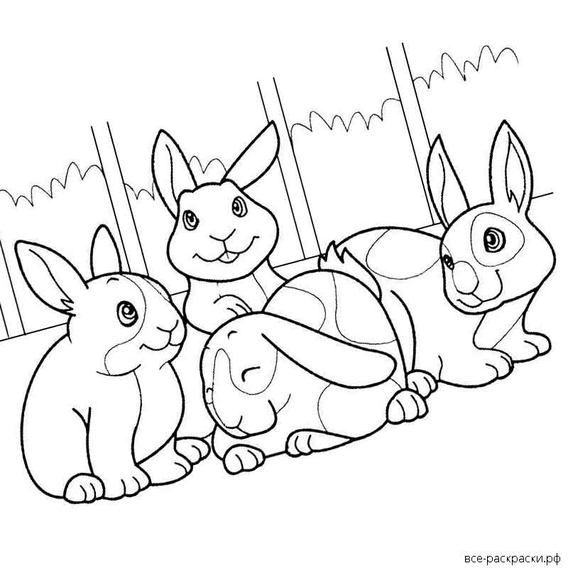 новогодний кролик раскраска для детей распечатать 5