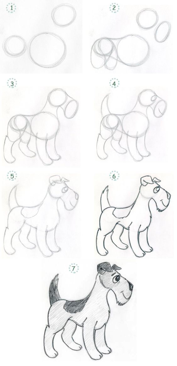 как нарисовать собаку поэтапно для детей поэтапно легко 2