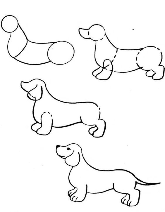 как нарисовать собаку поэтапно карандашом для начинающих детей 3
