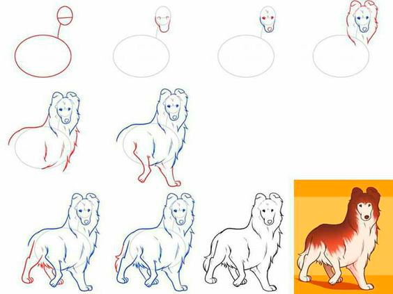 как нарисовать собаку поэтапно для детей поэтапно легко