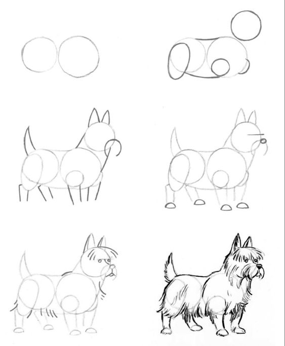 как нарисовать собаку поэтапно для детей поэтапно легко и просто для начинающих 10