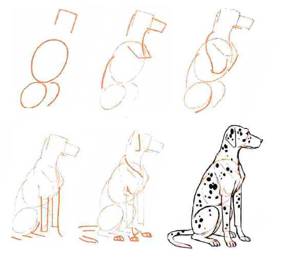 как нарисовать собаку поэтапно для детей поэтапно легко и просто для начинающих 9