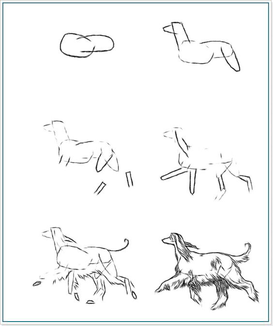 как нарисовать собаку поэтапно для детей поэтапно легко и просто для начинающих 8