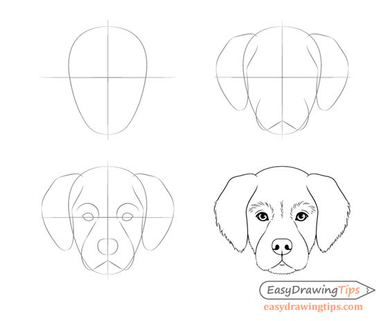как нарисовать собаку поэтапно для детей поэтапно легко и просто 6