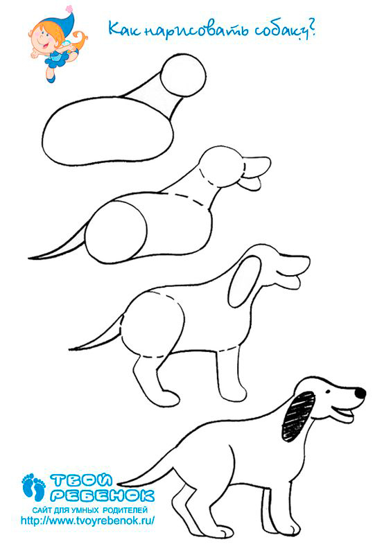 как нарисовать собаку поэтапно для детей поэтапно легко 5