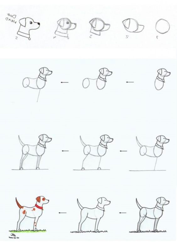 как нарисовать собаку поэтапно для детей поэтапно легко 4