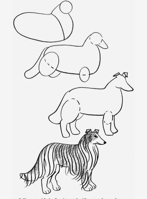 как нарисовать собаку поэтапно для детей поэтапно легко 3