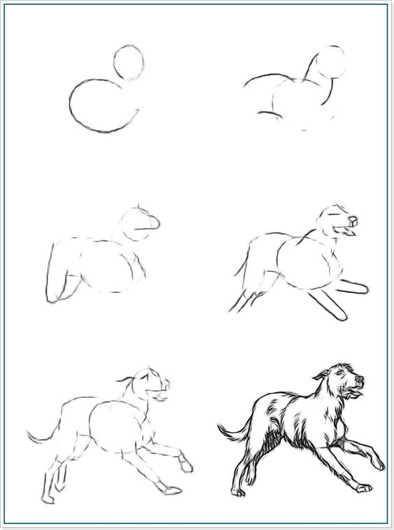как нарисовать собаку поэтапно карандашом для начинающих детей 7