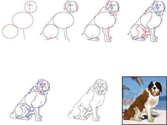 как нарисовать собаку поэтапно карандашом для начинающих детей 4