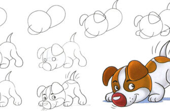Как нарисовать собаку поэтапно для детей карандашом 11